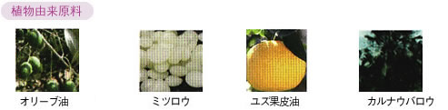 植物由来原料
