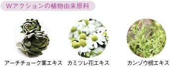 Wアクションの植物由来原料:：アーチチョーク葉エキス、カミツレ花エキス、カンゾウ根エキス