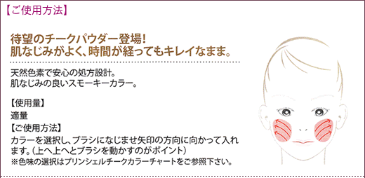 ご使用方法