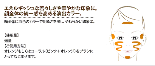 ご使用方法