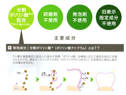 分割ポリリン酸、研磨剤不使用、発泡剤不使用、旧表示指定成分不使用