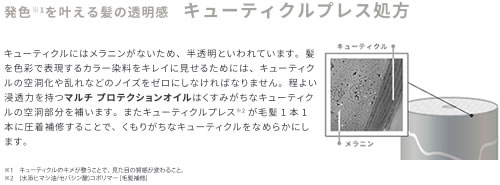 キューティクルプレス処方について_1