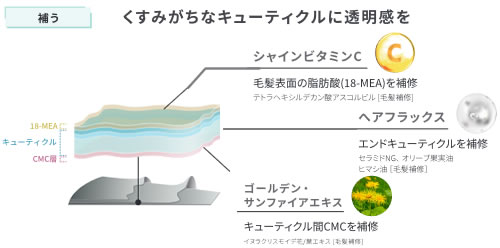 キューティクルプレス処方について