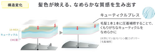 キューティクルプレス処方について