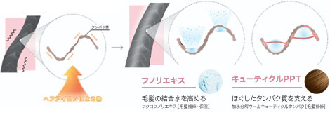 なめらかな被膜が熱から髪を守る