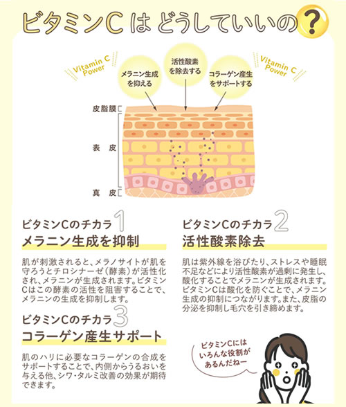 オススメの使い方