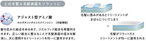 マグネットトランジションシステム