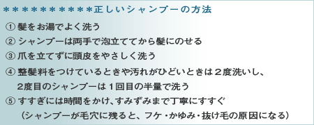 正しいシャンプーの方法