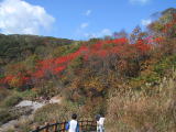 登別・地獄谷にも紅葉