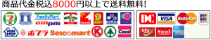 8000円以上送料無料・支払い：コンビニ、カード